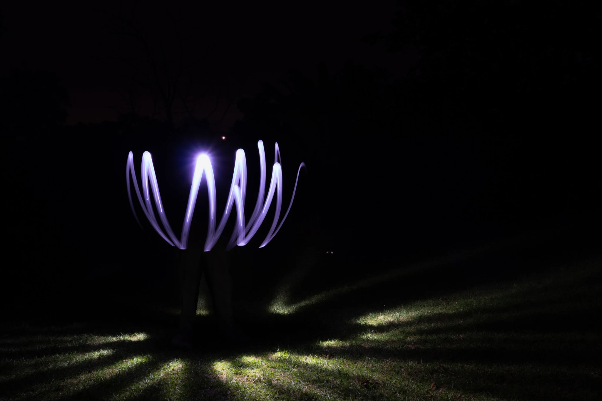 Purple light petals or marks floating in darkness