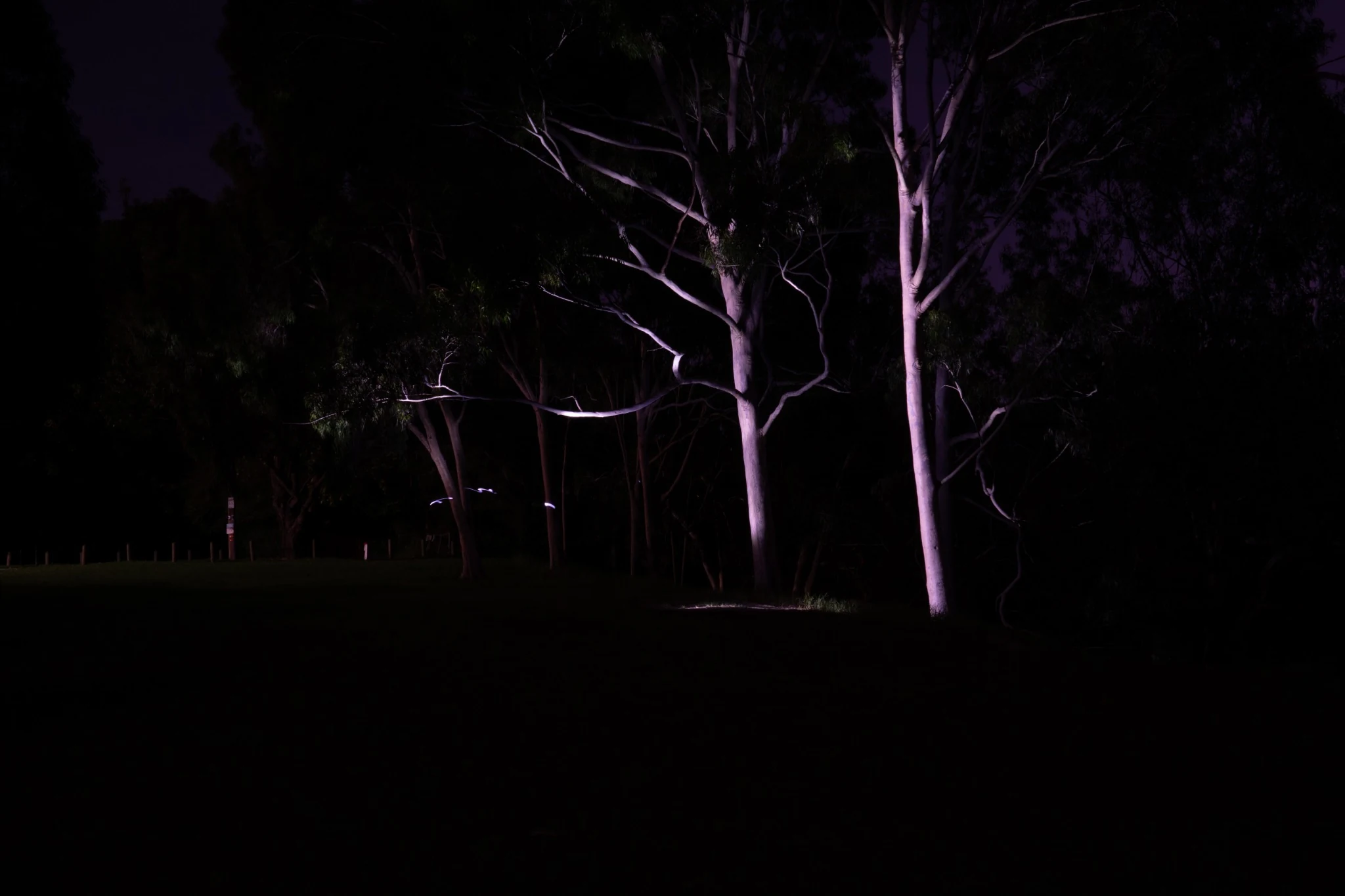 Ghost-like figures gathered in a dark field