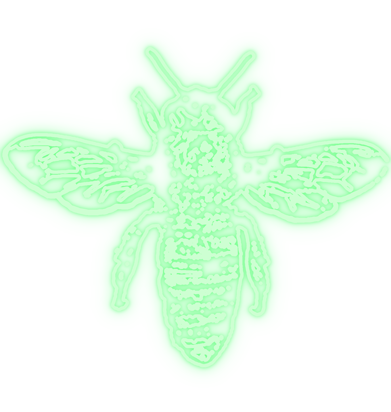 Julian Shnider bee logo